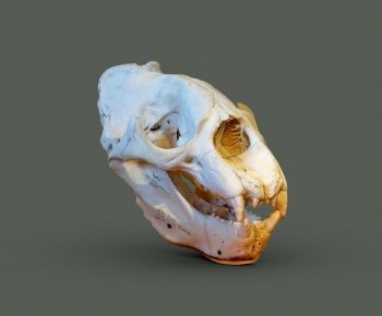 Modern Medical Equipment-ID:870857954