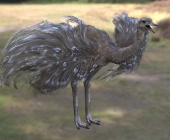 Modern Animal-ID:698611025