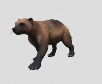 Modern Animal-ID:529428019