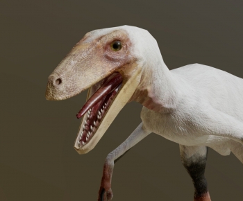 Modern Animal-ID:112829298