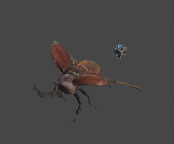Modern Animal-ID:396368985
