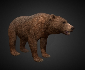 Modern Mammal-ID:244688995