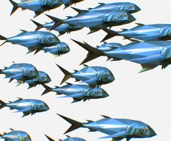 Modern Aquatic Animals-ID:509426123