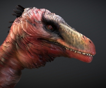 Modern Animal-ID:364959221