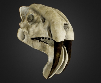 Modern Medical Equipment-ID:555578951