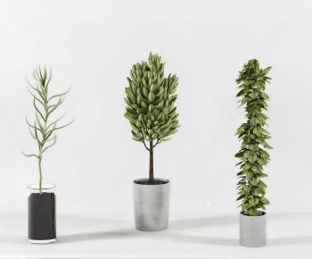 Modern Ground Green Plant Potted Plants-ID:409939374