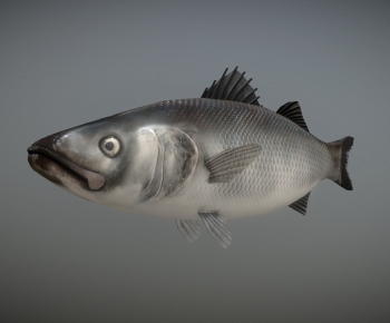 Modern Aquatic Animals-ID:117940939