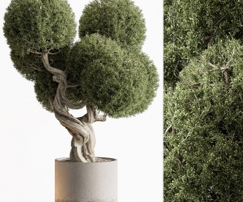 Modern Ground Green Plant Potted Plants-ID:790230047