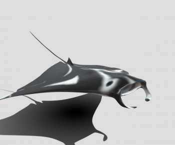 Modern Animal-ID:500122079