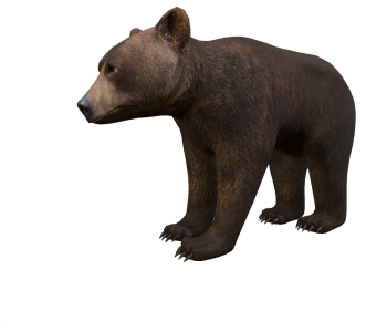 Modern Mammal-ID:513770108