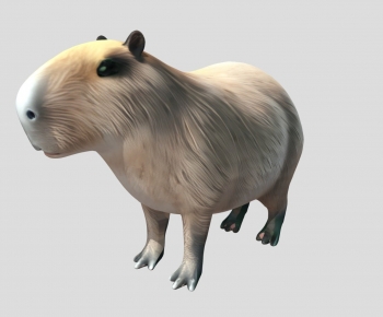 Modern Mammal-ID:102469915