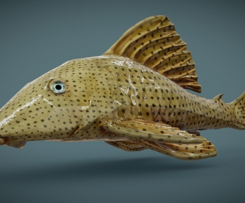 Modern Aquatic Product-ID:976000078