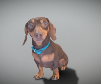 Modern Animal-ID:719947108