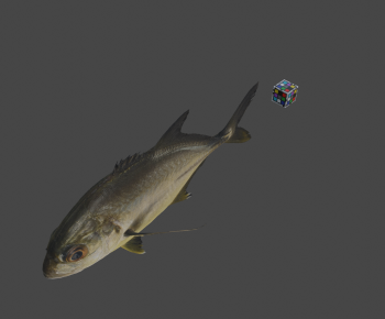 Modern Aquatic Animals-ID:608320256