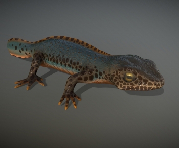 Modern Aquatic Animals-ID:147850997