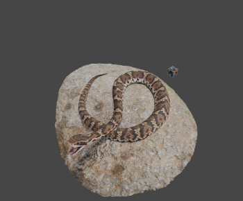 Modern Animal-ID:237000948