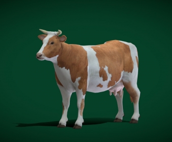 Modern Mammal-ID:635242946