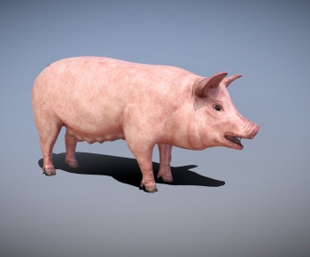 Modern Animal Pig-ID:998799867