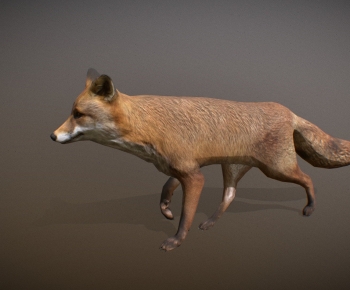 Modern Animal-ID:106580322