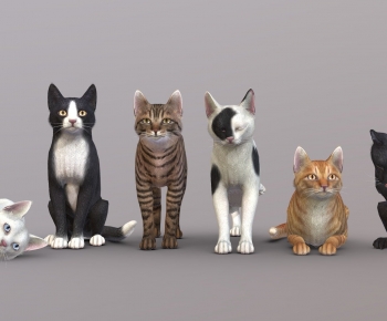 Modern Animal Cat-ID:857762109