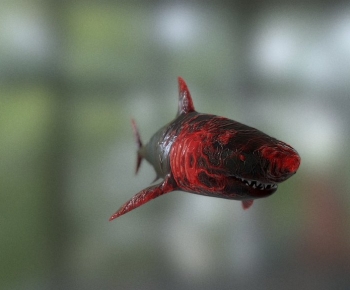Modern Aquatic Animals-ID:381634954