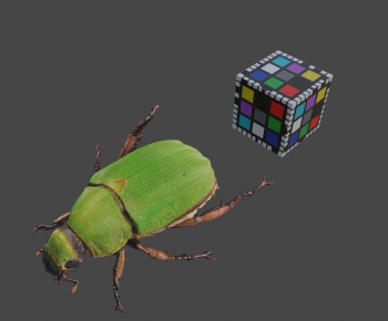 Modern Flying Animals-ID:937228929