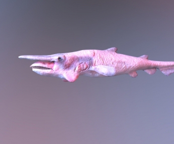 Modern Animal-ID:684053903
