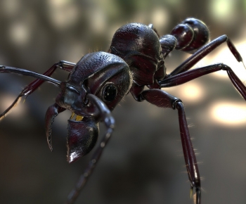 Modern Animal-ID:452286013