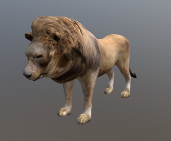 Modern Mammal-ID:974284895