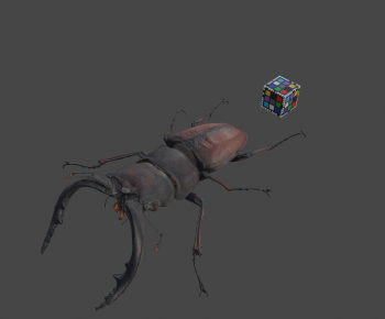 Modern Animal-ID:538717996