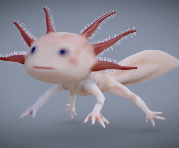 Modern Aquatic Animals-ID:987144957
