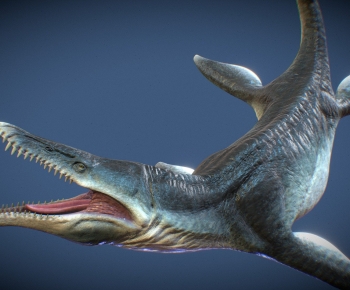 Modern Animal-ID:413032057