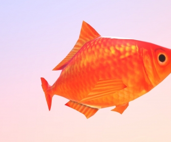 Modern Aquatic Animals-ID:582180988