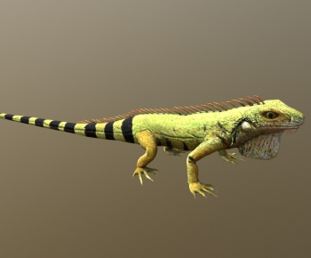 Modern Reptile-ID:245649854