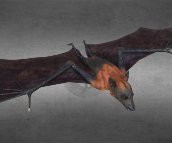 Modern Mammal-ID:126389981