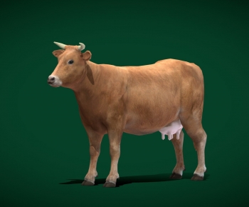 Modern Mammal-ID:289759679