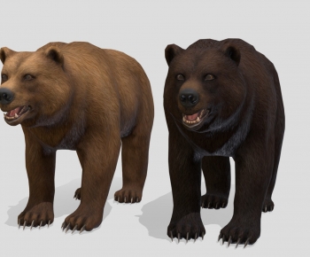 Modern Mammal-ID:986248029