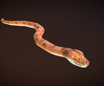 Modern Animal-ID:276834019