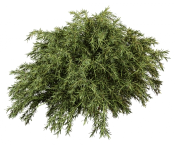Modern Shrubbery-ID:352736005