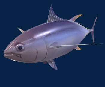 Modern Aquatic Animals-ID:775990521