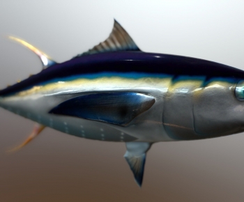 Modern Aquatic Animals-ID:458245992
