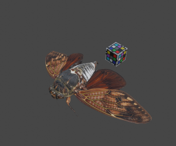 Modern Reptile-ID:824182036