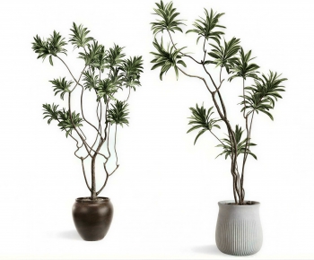 Modern Ground Green Plant Potted Plants-ID:183810005