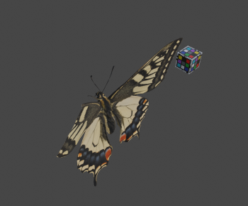 Modern Other Animals-ID:378052005