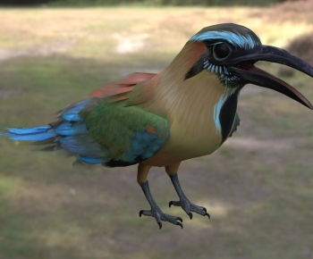 Modern Flying Animals-ID:443521982