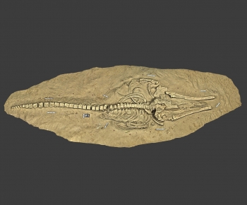 Modern Medical Equipment-ID:518249995