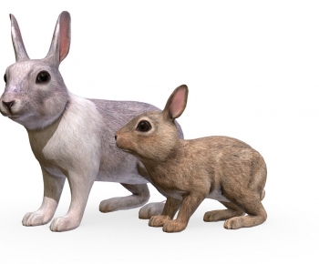 Modern Animal-ID:916180692