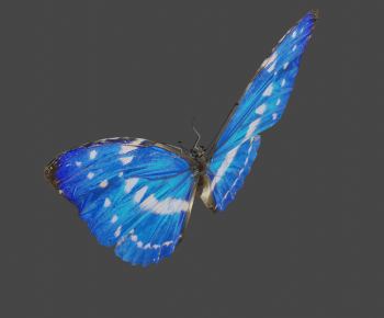 Modern Other Animals-ID:379391917