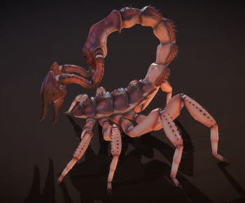 Modern Animal-ID:937072998