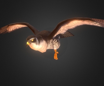 Modern Flying Animals-ID:722541096